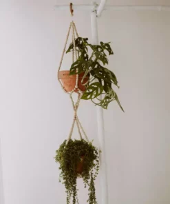 Village Thrive Wood Beaded Plant Hangers Home Goods