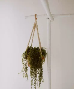 Village Thrive Wood Beaded Plant Hangers Home Goods