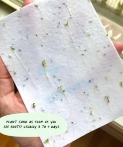 Cute Root You Grow Girl Plantable Cards - 10 Pack Greeting Cards