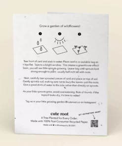 Cute Root You Grow Girl Plantable Cards - 10 Pack Greeting Cards